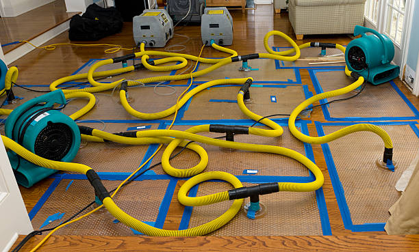 Professional Flood Damage Restoration technician working in Palmer, MA